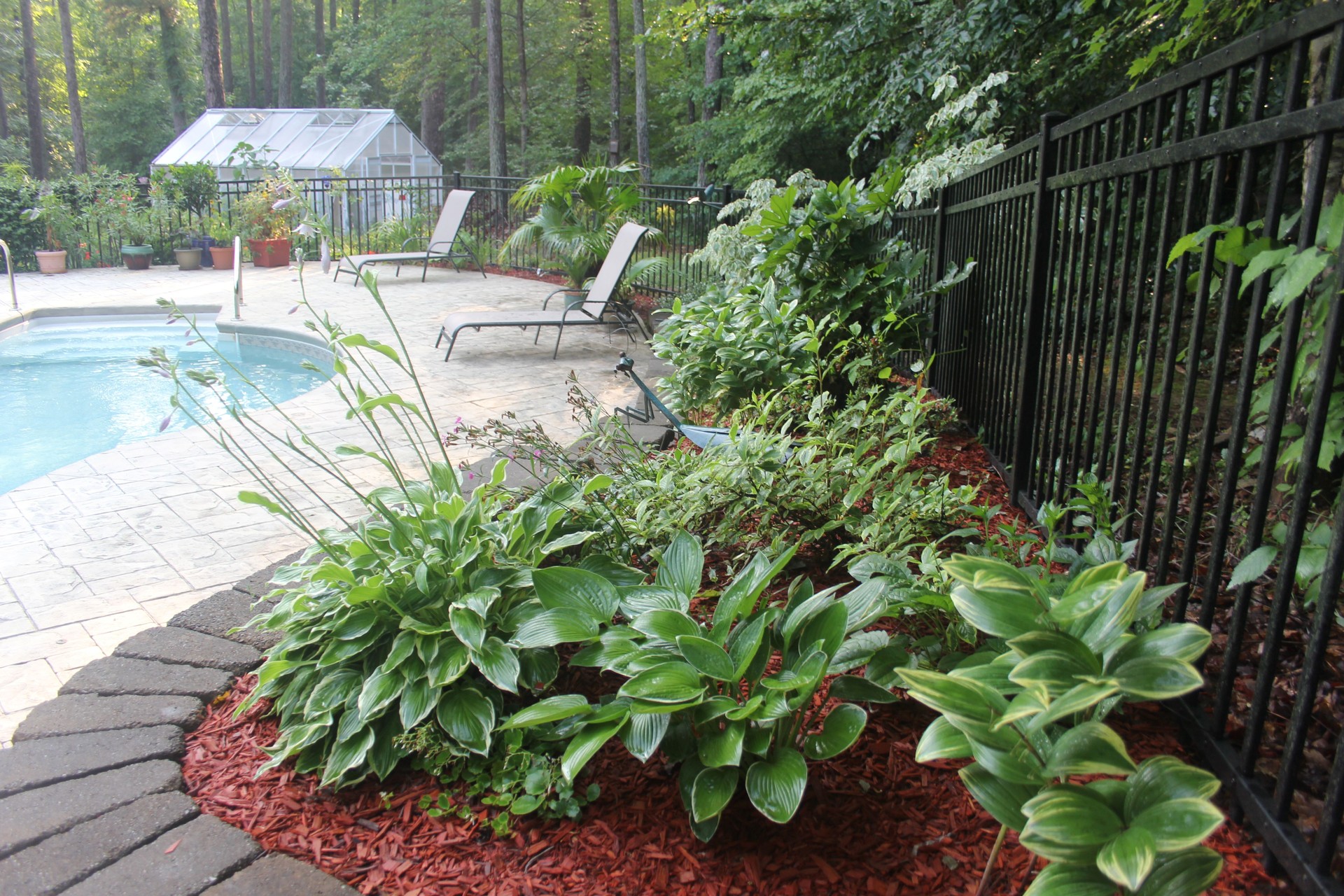 Garden with Pool