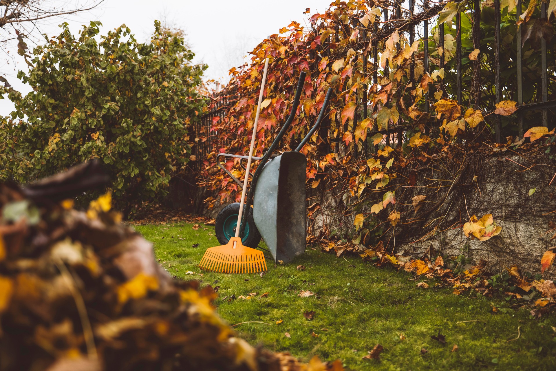 I like to keep my backyard tidy